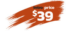 intro-price
